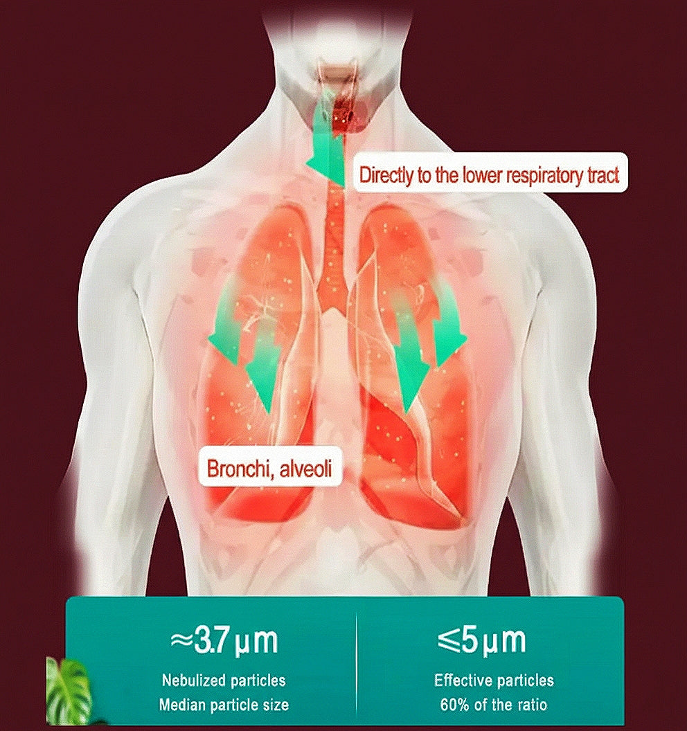 Portable nebuliser.