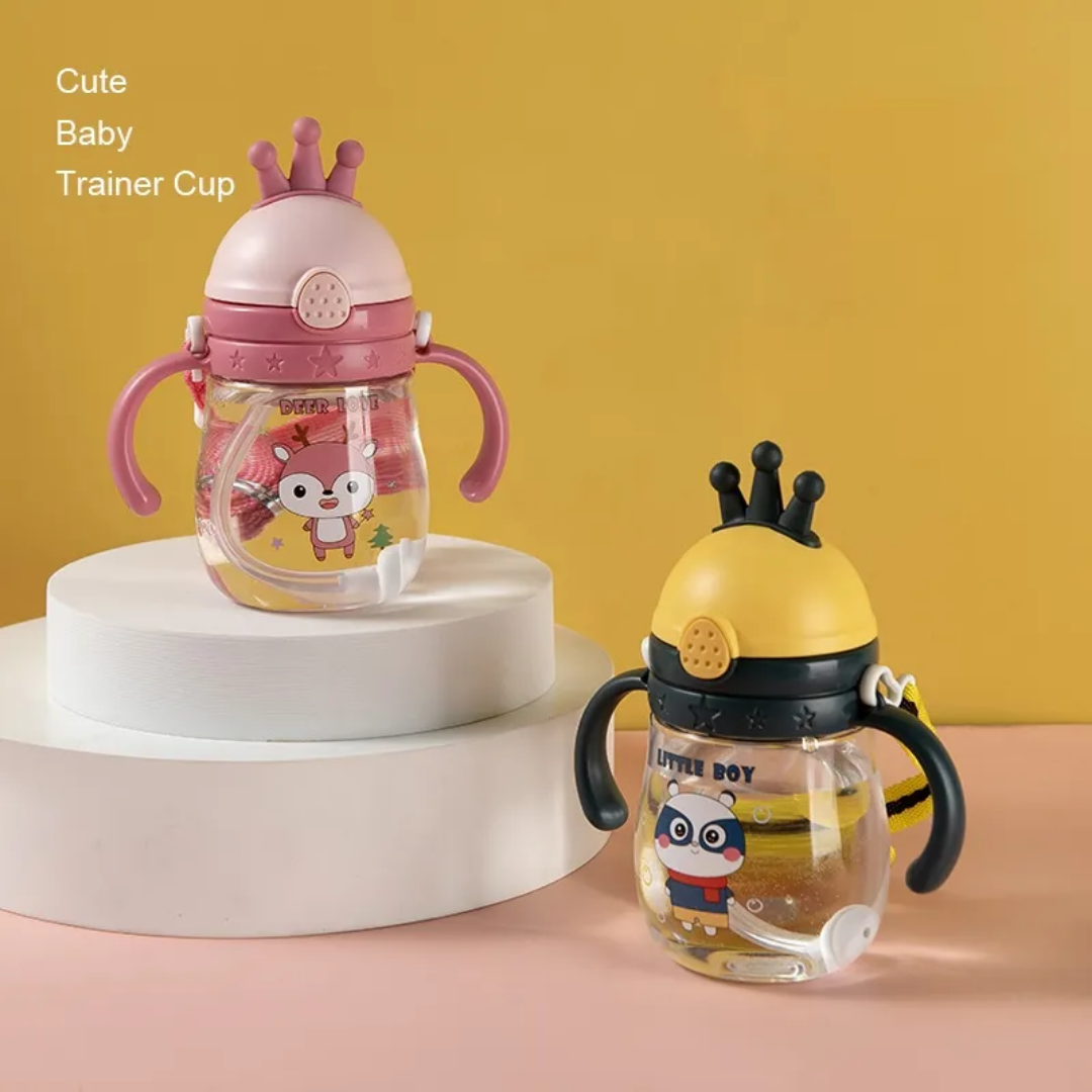 Water bottle (crown design)