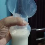 Phanpy silicon milk collector - Image 8